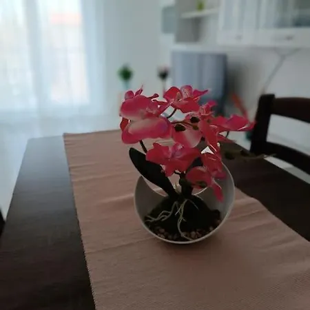 Apartment Flori's