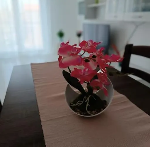 Апартаменты Flori's